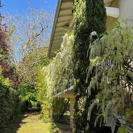 Havre De Paix Cosy Avec Jardin Proche Du Centre-ville De