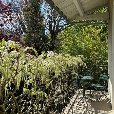 Havre De Paix Cosy Avec Jardin Proche Du Centre-ville De